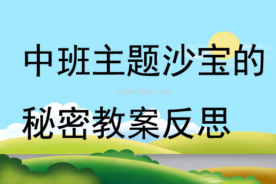 中班主题沙宝的秘密教案反思