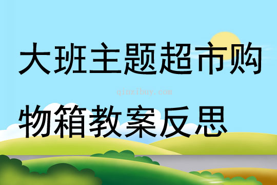 大班主题超市购物箱教案反思