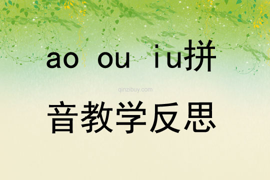 ao ou iu拼音教学反思
