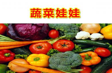 中班有用的植物主题教学蔬菜娃娃PPT课件教案