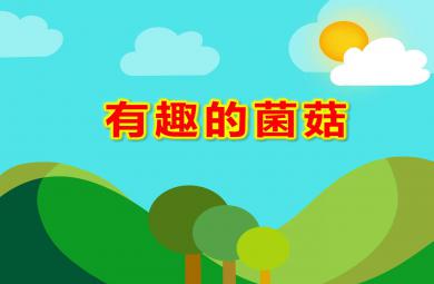 中班有用的植物主题教学有趣的菌菇PPT课件教案