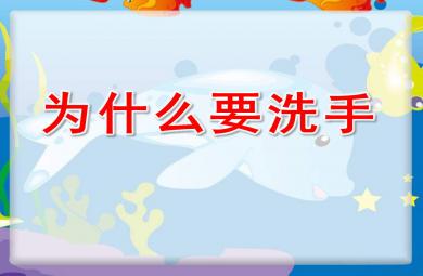 为什么要洗手PPT课件教案图片
