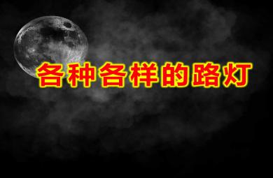 中班科学各种各样的路灯PPT课件教案