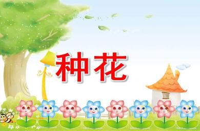 种花PPT课件教案图片