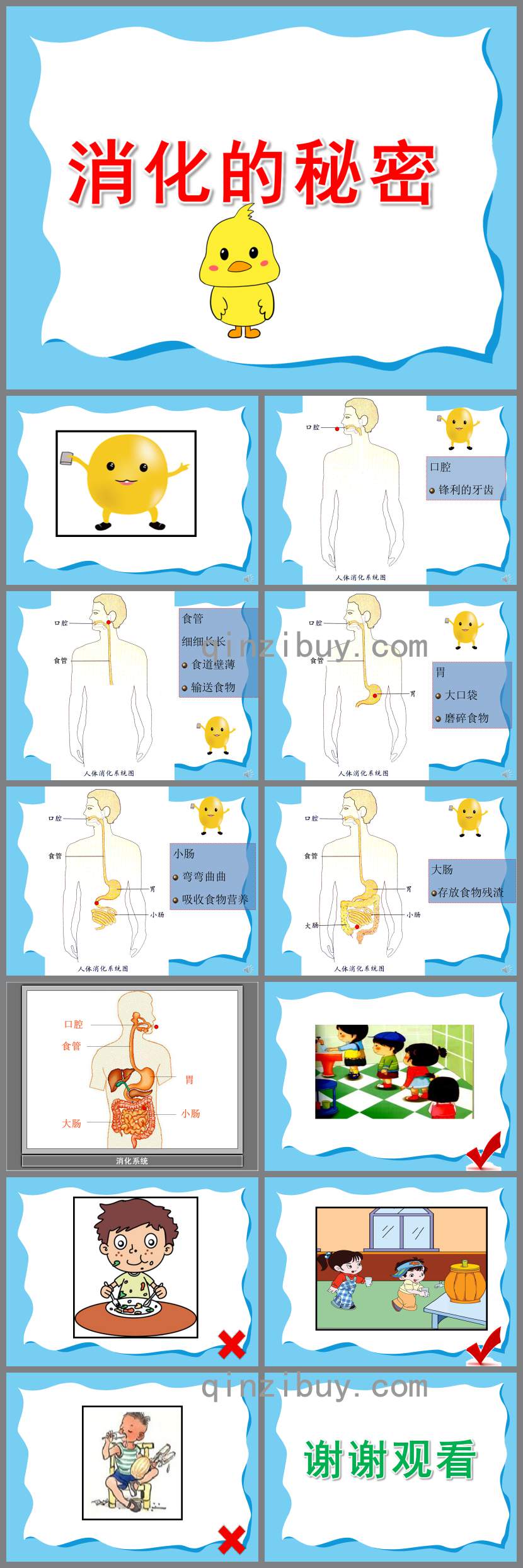 幼儿园消化的秘密PPT课件教案