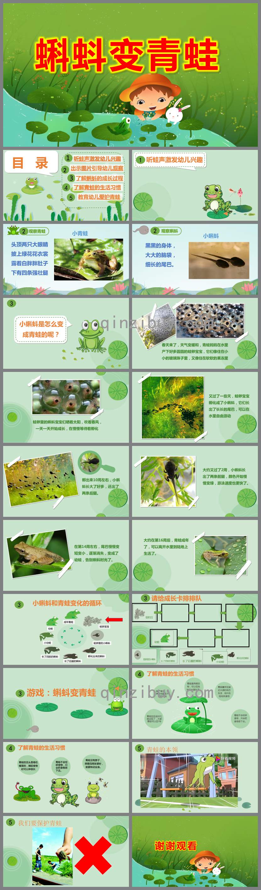 中班科学课件蝌蚪变青蛙PPT课件教案