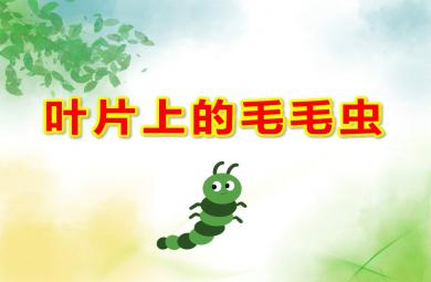 大班美术叶片上的毛毛虫PPT课件教案