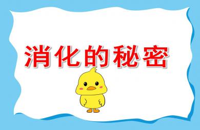 幼儿园消化的秘密PPT课件教案
