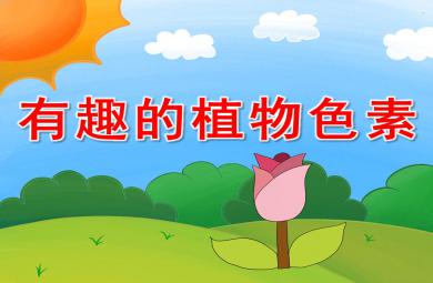 幼儿园有趣的植物色素PPT课件教案