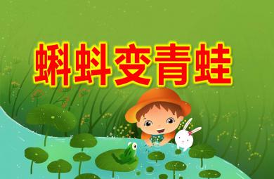 中班科学课件蝌蚪变青蛙PPT课件教案