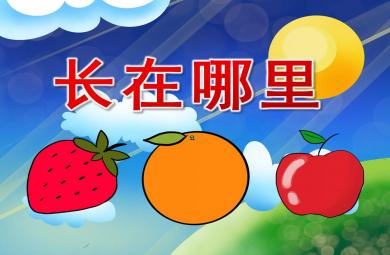 托班科学课件长在哪里PPT课件教案