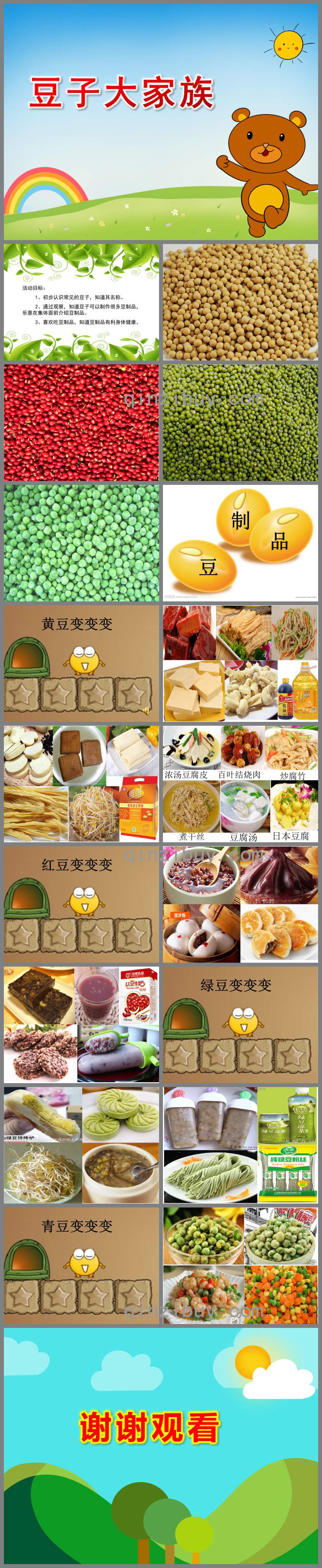 中班主题豆子大家族PPT课件教案