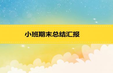 幼儿园小班上学期期末总结PPT课件