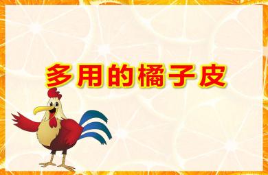 多用的橘子皮PPT课件教案