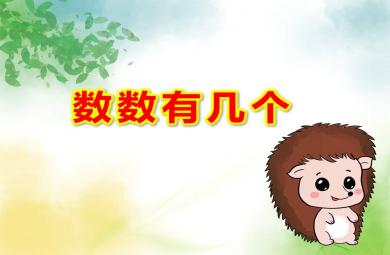 数数有几个PPT课件教案