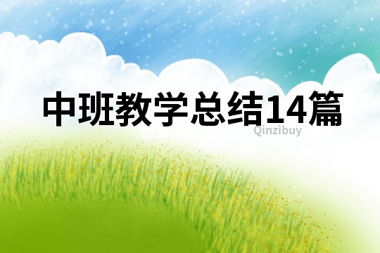 中班教学总结14篇