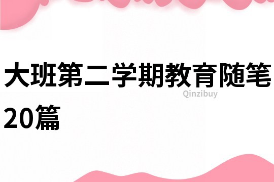 大班第二学期教育随笔20篇