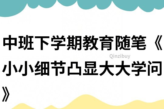 中班下学期教育随笔《小小细节凸显大大学问》