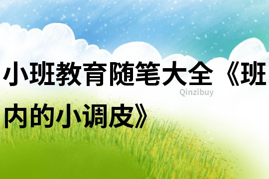 小班教育随笔大全《班内的小调皮》