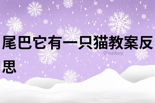 尾巴它有一只猫教案反思