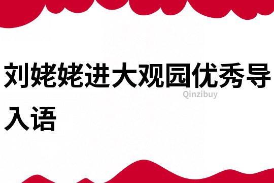 刘姥姥进大观园优秀导入语