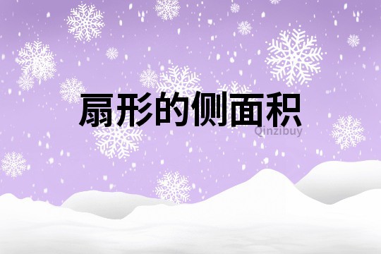 扇形的侧面积