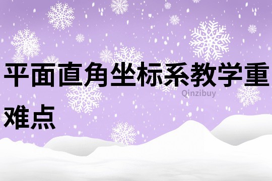 平面直角坐标系教学重难点