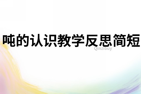 吨的认识教学反思简短