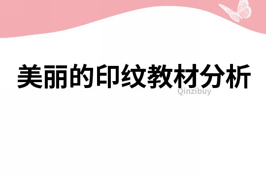 美丽的印纹教材分析