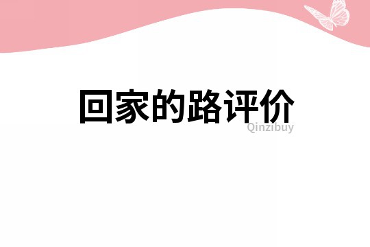 回家的路评价