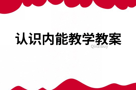 认识内能教学教案