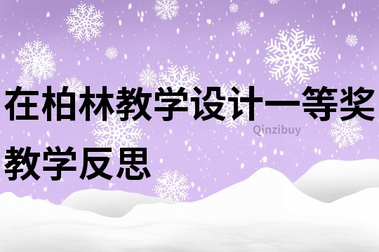 在柏林教学设计一等奖教学反思