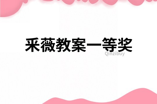 釆薇教案一等奖