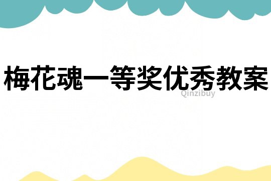 梅花魂一等奖优秀教案