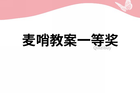 麦哨教案一等奖