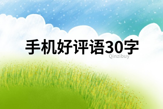 手机好评语30字