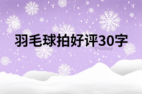 羽毛球拍好评30字
