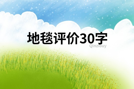 地毯评价30字