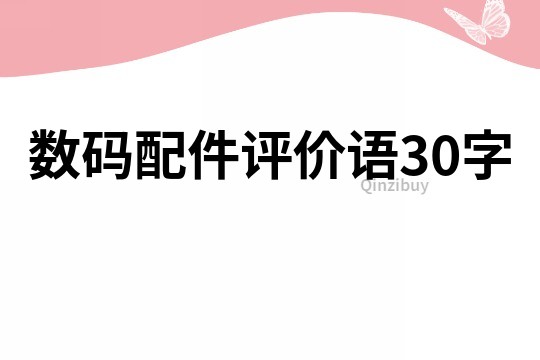 数码配件评价语30字