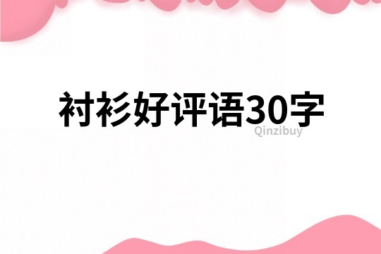 衬衫好评语30字