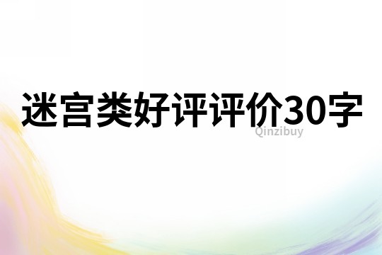 迷宫类好评评价30字