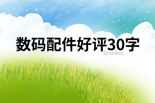 数码配件好评30字