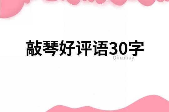 敲琴好评语30字