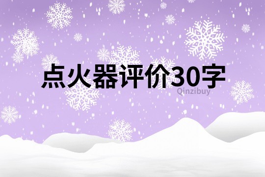点火器评价30字