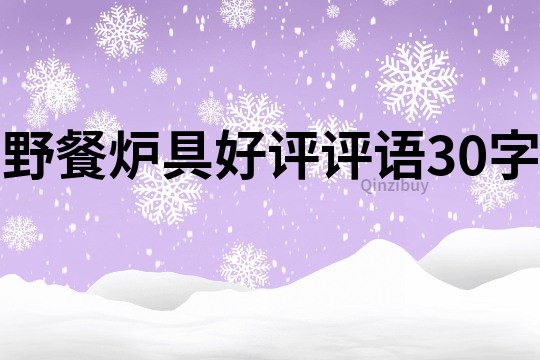 野餐炉具好评评语30字