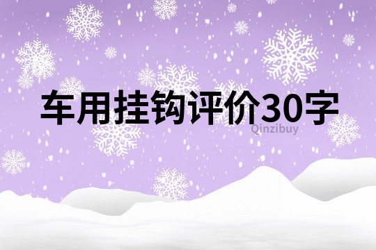 车用挂钩评价30字