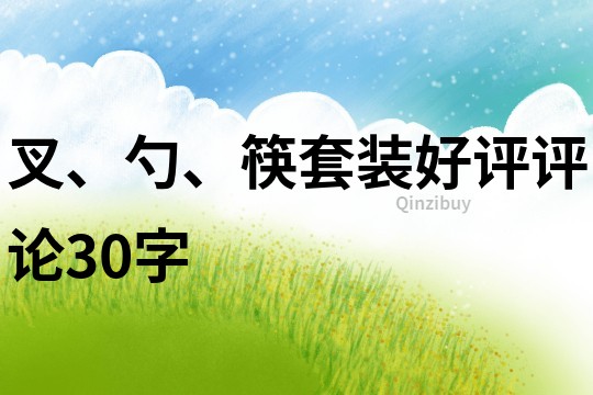 叉、勺、筷套装好评评论30字