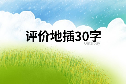 评价地插30字
