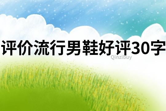 评价流行男鞋好评30字