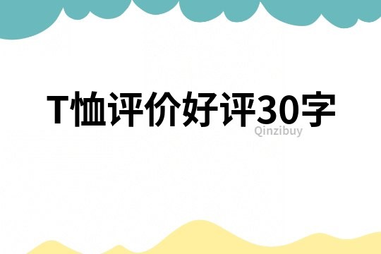 T恤评价好评30字